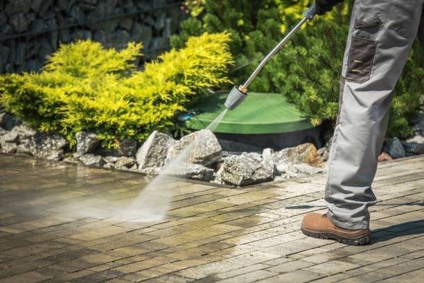 Best Pre-Holiday Cleaning  in Brookville, PA