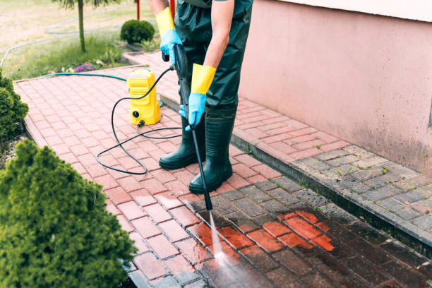 Animal Enclosure Cleaning in Brookville, PA